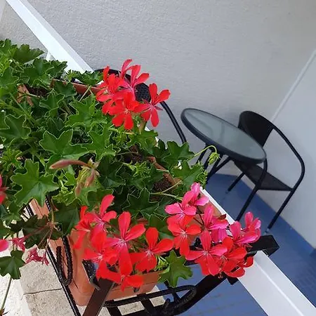 krevet i doručak Miramar 3*