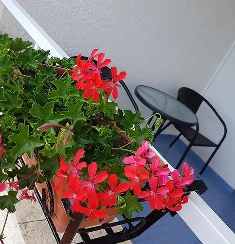 Bed & Breakfast Miramar 3*